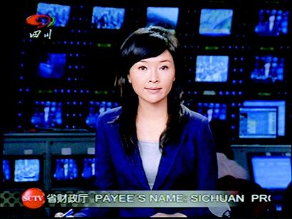 职业:四川卫视新闻主播