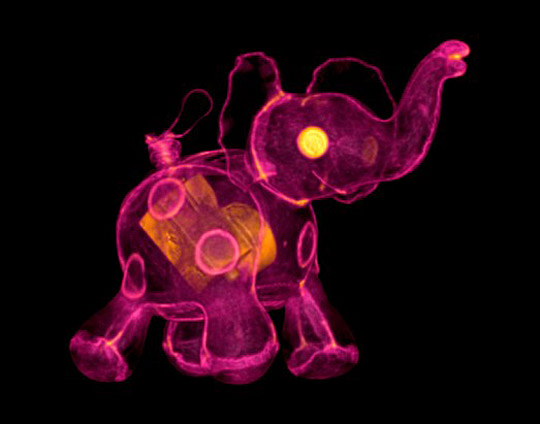 医科学生用X射线成像技术拍摄物体(图)