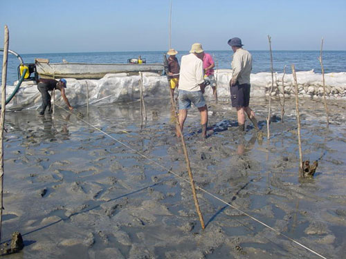 考古学家揭秘古人如何应对海平面上升(图)_科