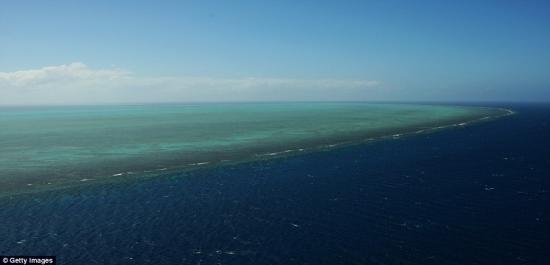 澳大利亚大堡礁 全球气候变暖将致澳大利亚大堡礁20年后消失