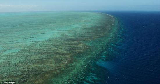 二氧化碳水平已经升至令人恐怖的程度,从现在起挽救这个天然结构已成为一种不可能 全球气候变暖将致澳大利亚大堡礁20年后消失