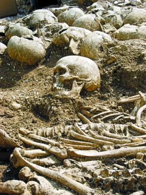 　英国考古学家在多塞特郡发现了大量维京人遗骨。