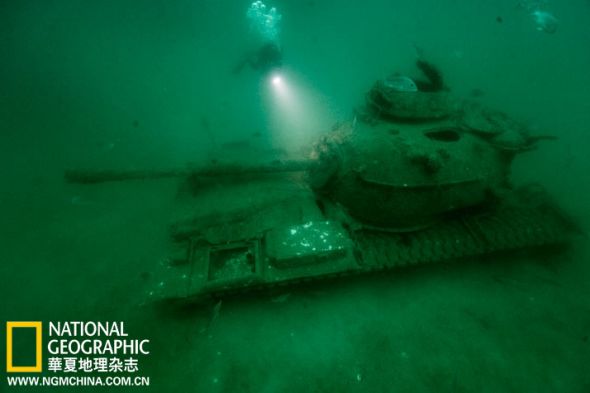 这辆M60坦克是1994年沉没在亚拉巴马州海域的100辆坦克之一，成为此地3100平方公里人工礁区的一部分。重达50吨的坦克与较轻而不够稳定的造礁物体相比具有更强的抗飓风能力。