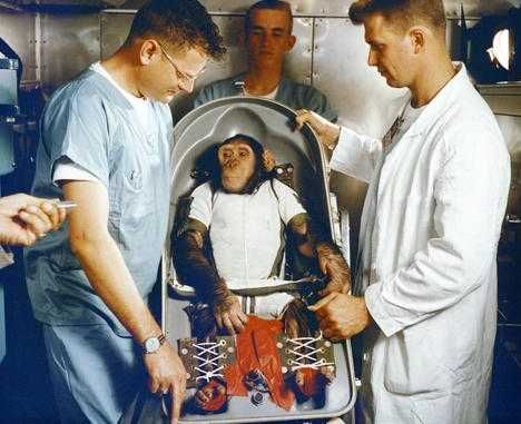 前苏联选择将狗送入轨道，美国则选择猴子和黑猩猩充当他们的动物宇航员
