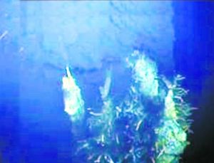 海底富含硫化物的高温热液活动区，俗称“黑烟囱”。