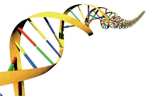 DNA元素百科全书