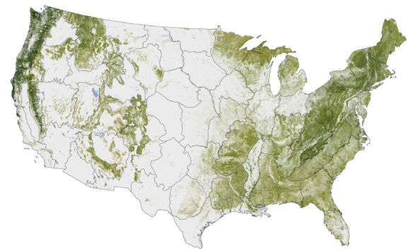 每日卫星照:美国森林分布图(图)