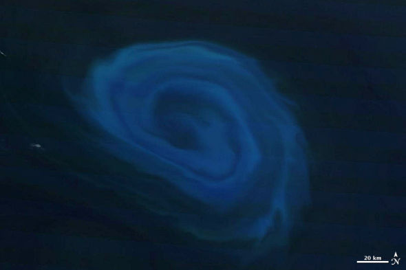 每日卫星照：大西洋海洋漩涡奇景(图)
