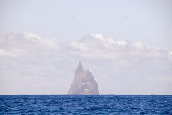 澳大利亚豪勋爵岛柏尔金字塔：科学家发现，这些竹节虫依附在这根世界最高海柱的一侧。