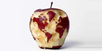 苹果筹备三年取代谷歌地图
