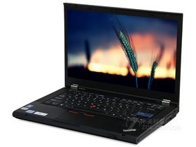 ThinkPad T4204179AC8