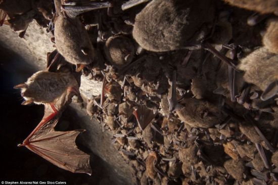 文章配图