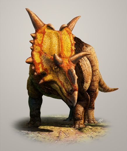 八千万年前，Xenoceratops生活在没有严寒的加拿大地区