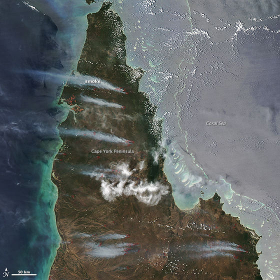 每日卫星照：澳大利亚野火火灾浓烟滚滚(图)澳大利亚野火火灾