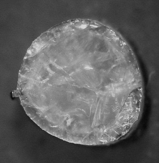 这是一个直径2毫米的纳米孪晶立方氮化硼材料