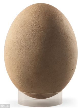 ���������ۼ���66675Ӣ����Լ��10.18����Ԫ���������������3��Ӣ����4.63����Ԫ������