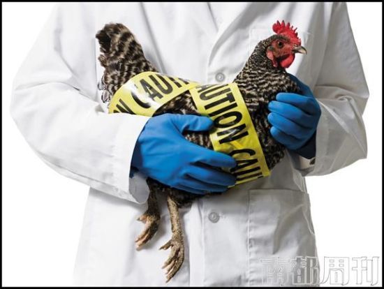 中科院专家：H7N9已具备有限人际传播能力病毒中科院细胞