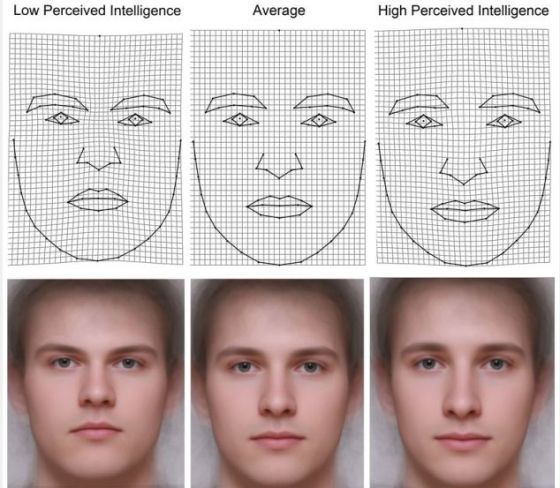 这个捷克科研组称，被认为拥有较高智商的脸一般更长，并拥有间距较宽的双眼。对较低智商的感觉是，一个人拥有更宽、更圆的脸