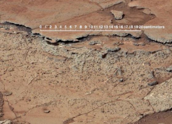 “好奇”号火星车最近拍摄的一幅照片,展示了火星的盖尔陨坑。根据美国俄勒冈州大学地质学家格雷戈里-莱特拉克进行的研究,这个陨坑的地下深处存在类似南极麦克默多干燥谷以及智利阿塔卡马沙漠的土壤,年代可追溯到37亿年前。这一发现意味着这颗红色星球上可能仍有生命存在。 “好奇”号火星车最近拍摄的一幅照片,展示了火星的盖尔陨坑。根据美国俄勒冈州大学地质学家格雷戈里-莱特拉克进行的研究,这个陨坑的地下深处存在类似南极麦克默多干燥谷以及智利阿塔卡马沙漠的土壤,年代可追溯到37亿年前。这一发现意味着这颗红色星球上可能仍有生命存在。