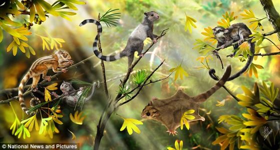 复原想象图，展示最新发现并命名的3种生活在侏罗纪森林中的早期哺乳动物。