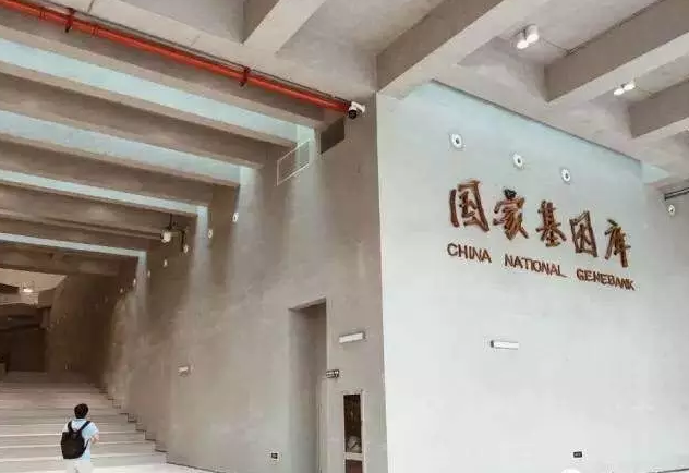 �й��׸����һ���⿪ҵǰ ���˿Ƽ������3����Ҫ��Ϣ