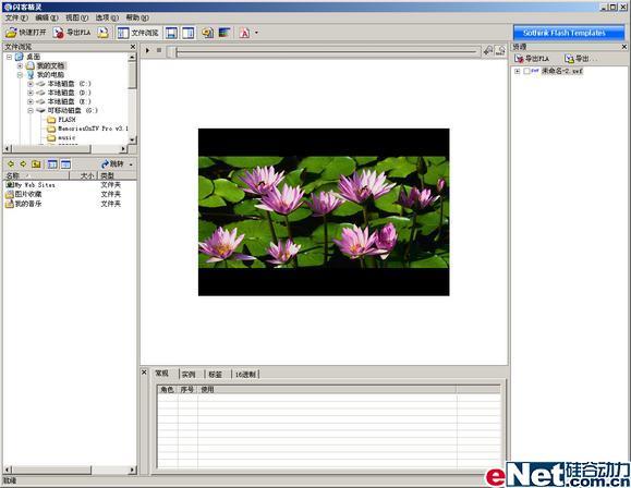 ����ֽ�SWF��������FLASH����