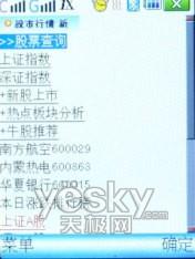 SCH-W619