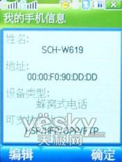 SCH-W619