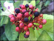 ������Ʒ����320����������i968����(7)