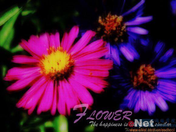 Photoshop���������Ĳ��ջ���Ч��(6)