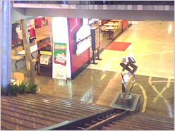 ˫�������ݺ῵����д��������D306����(5)