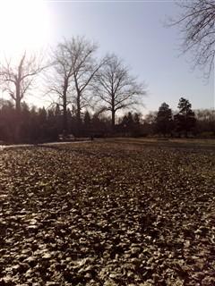 500������ŵ����GPS����������N82����(19)