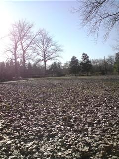 500������ŵ����GPS����������N82����(19)