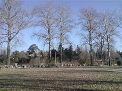 500������ŵ����GPS����������N82����(19)