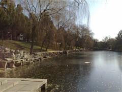 500������ŵ����GPS����������N82����(19)