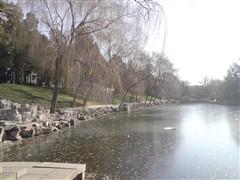 500������ŵ����GPS����������N82����(19)