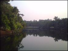 ֧��7�ŵ�ذ�������С����X3188����(5)