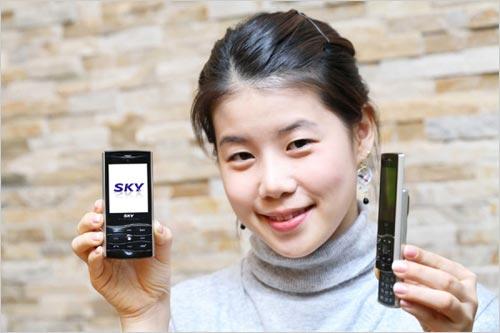 ˬŮ SKYƳֻIM-S300