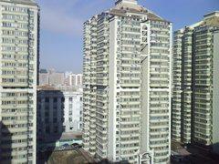 3Ӣ��Һ������������GPS�ֻ�P990����(9)