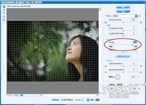 Photoshop���乤����������������Ƭ