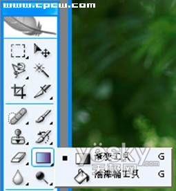 Photoshop���乤����������������Ƭ