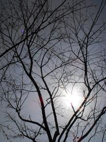 ȫ����С12X��䳤����ʿS1000fd����(14)