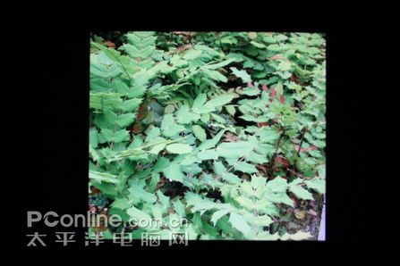 ����3560LG�׿��ж˴���Һ��L246WH����(10)