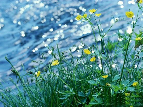 Ԥ��2000��Ԫ��DC10���������ռ�����