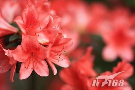 ս85F1.2˾85F1.4Ա(2)