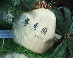 ʱ�з糱�������������ֻ�W380c����(7)