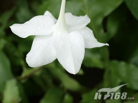 f2.0��Ȧ��׼���°�14-35mm��E3ʵ��(8)
