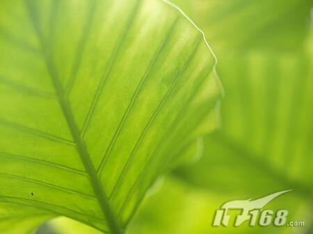 f2.0��Ȧ��׼���°�14-35mm��E3ʵ��(3)