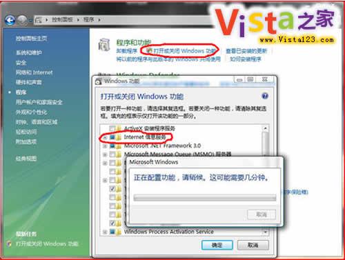 浅谈WindowsVista下IIS7安装过程
