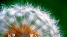 SH9010Cֻ(4)